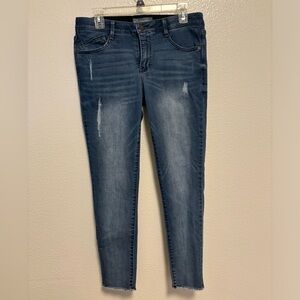 Wit & Wisdom | Skinny Jeans with Tummy Control | Size 8